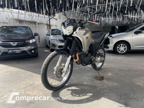 Yamaha XTZ 250 TENERE/TENERE BLUEFLEX