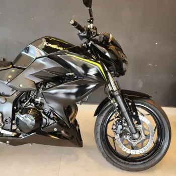 Z 300