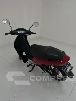 BIZ C100 ES
