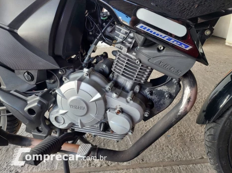 YS 150 FAZER ED