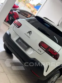 C4 CACTUS FELL
