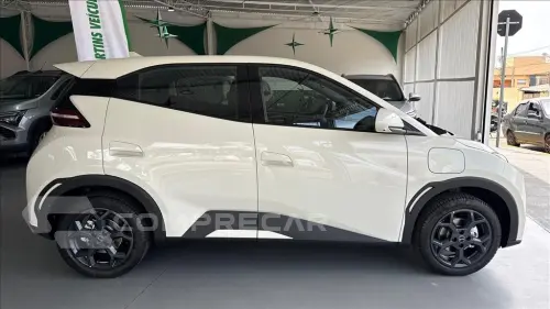 DOLPHIN MINI 38 KW ELÉTRICO GS