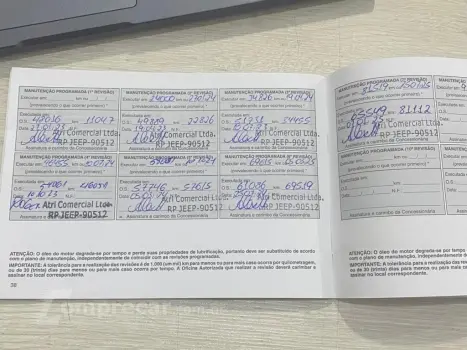 RENEGADE 1.3 T270 TURBO FLEX S 4X4 AT9