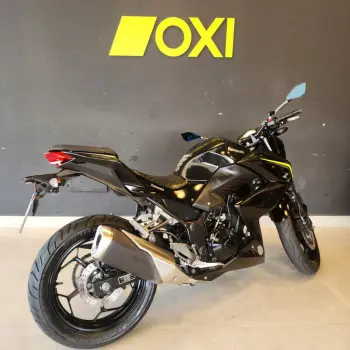 Z 300