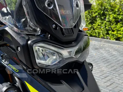 TIGER 900 RALLY PRO