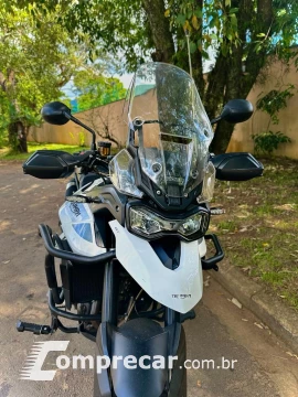 Tiger 900 GT