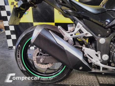 Ninja 300