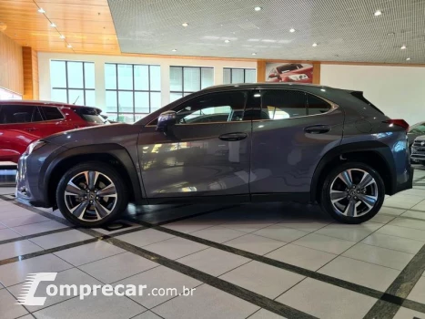 UX250H LUXURY