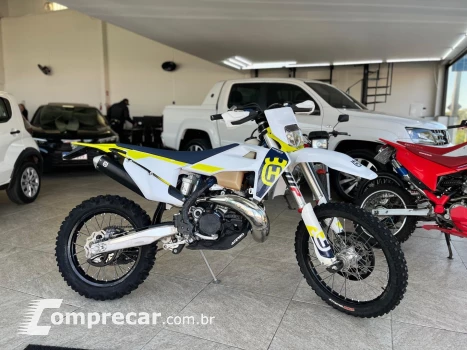 TE 300I