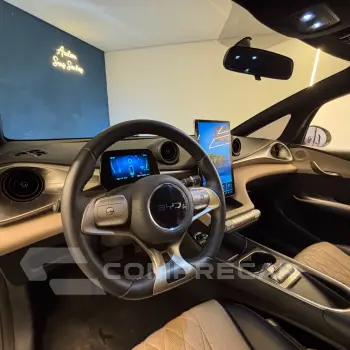 Dolphin EV (Elétrico)