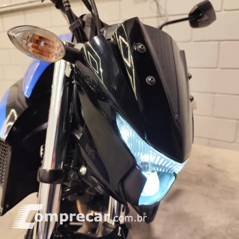 FAZER FZ250