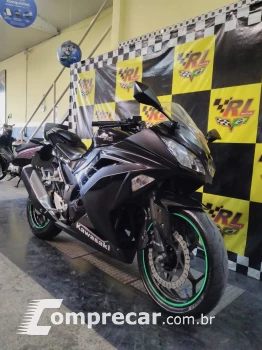 Ninja 300