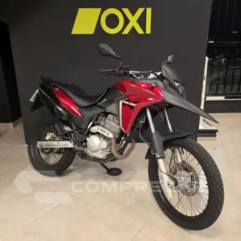 XRE 300/ 300 ABS/ FLEX