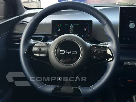 Dolphin Mini (Elétrico)