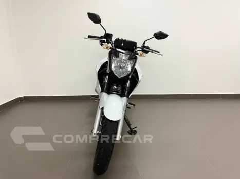 YAMAHA FAZER YS 250