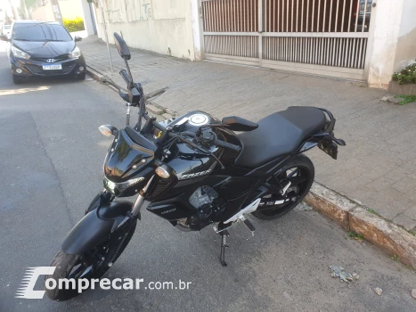 Fz15