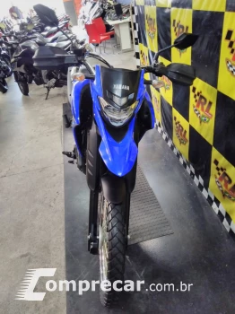 XTZ 250 Lander