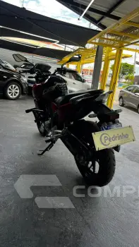 CB 250 F Twister FLEXONE