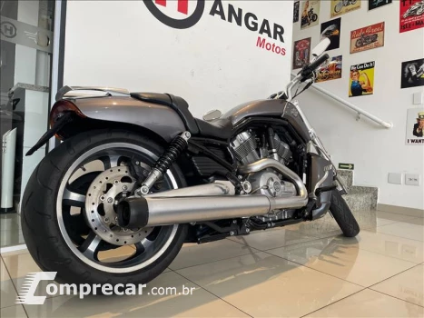 V-ROD MUSCLE