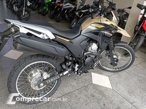 XTZ 250 LANDER 249cc/LANDER BLUEFLEX/ABS