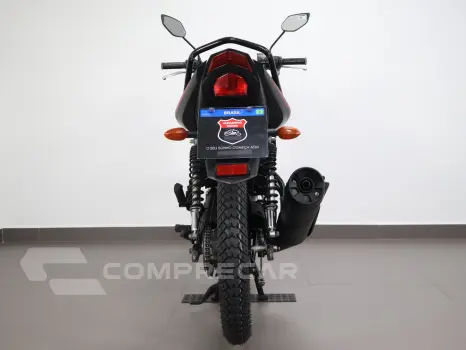 YAMAHA FAZER YS 150 SED