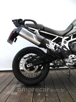 TRIUMPH TIGER 900 RALLY