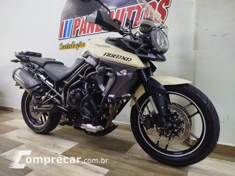 Tiger 800 800 cc