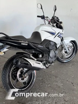 YS 250 FAZER/ FAZER L. EDITION /BLUEFLEX