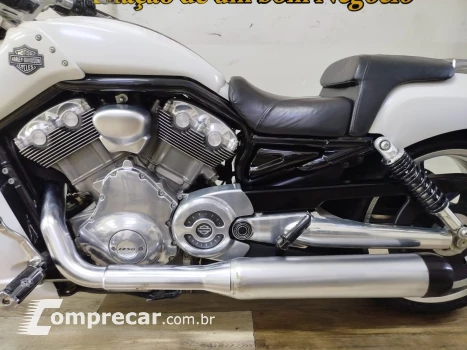 V Rod Custom 1250 cc