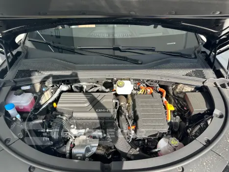 Song Pro GS 1.5 16V Aut. (Hibrido)