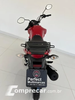 CG 160 FAN ESDI