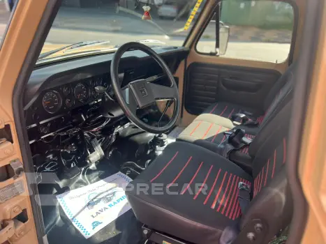 F-1000 3.9 Super CS 8V