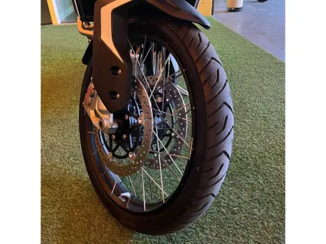 TIGER 900 RALLY PRO