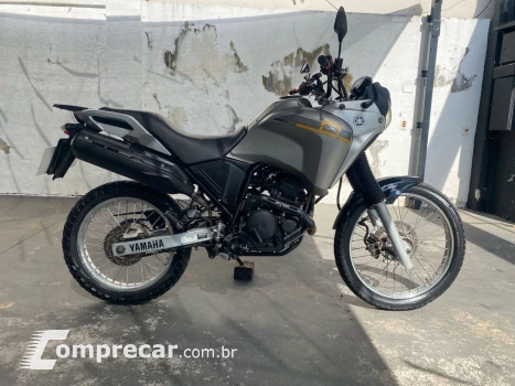 XTZ 250 TENERE/TENERE BLUEFLEX