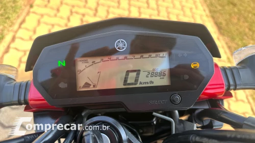 FZ25 FAZER