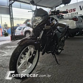 CB 300R/ 300R FLEX