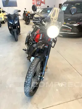 Himalayan
