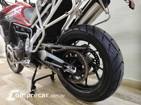 Tiger 900 GT ARAGÓN