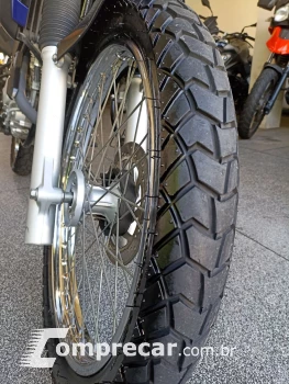 XTZ 250 TENERE/TENERE BLUEFLEX