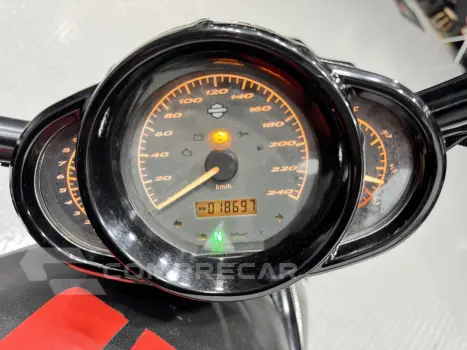 V-ROD 10TH ANNIVERSARY EDITION VRSCDX