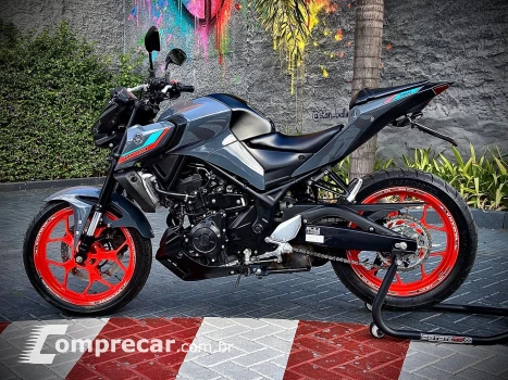 MT-03 ABS