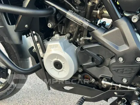 G310 GS