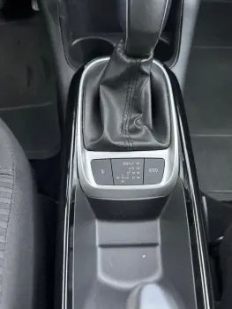 C4 Cactus Feel AT