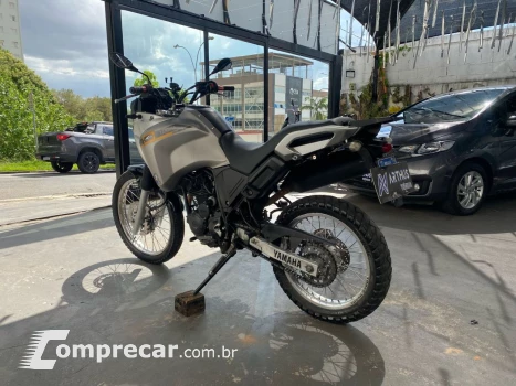 XTZ 250 TENERE/TENERE BLUEFLEX