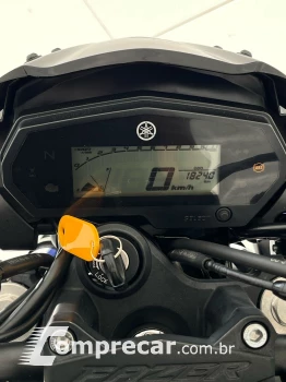 FZ250 FAZER