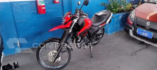 XTZ LANDER