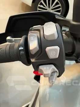 Tiger 900
