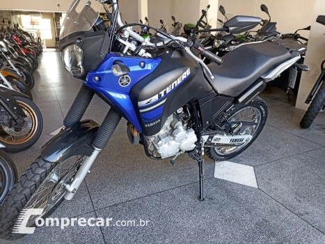 XTZ 250 TENERE/TENERE BLUEFLEX