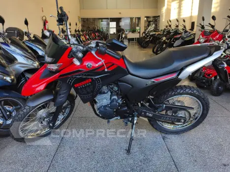 XTZ 250 LANDER 249cc/LANDER BLUEFLEX/ABS