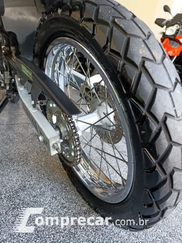 XTZ 250 TENERE/TENERE BLUEFLEX
